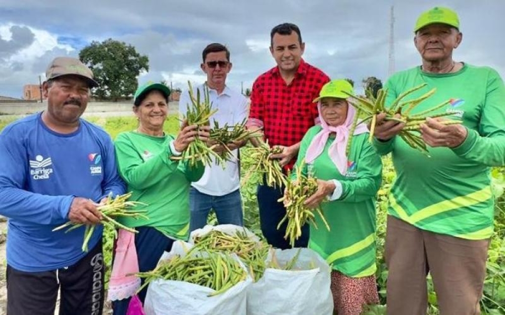 Agricultores de Campo Alegre iniciam mais uma farta colheita do Projeto Barriga Cheia