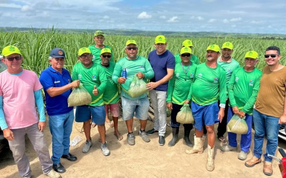 Famílias participantes do Barriga Cheia em Campo Alegre iniciam plantio e estão confiantes em mais uma produção recorde