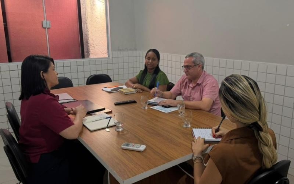 Órgãos debatem sobre os selos Unicef e Abrinq e a revisão e atualização dos planos municipais da infância e adolescência