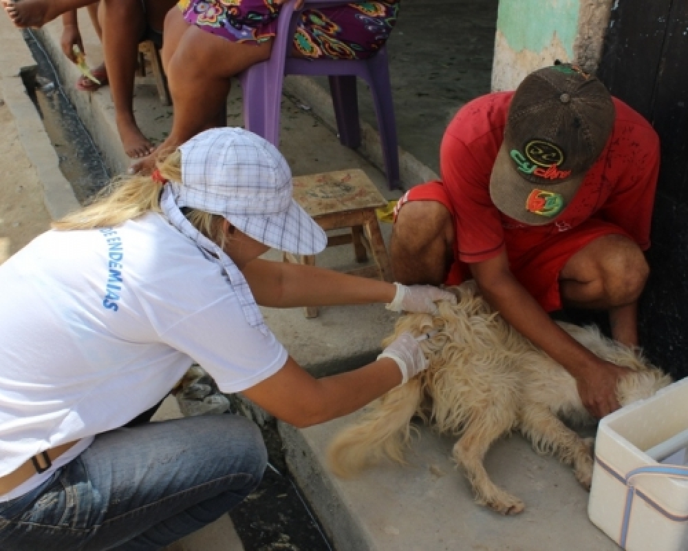 Secretaria de Saúde realiza Campanha de vacinação de cães e gatos contra o vírus da raiva 
