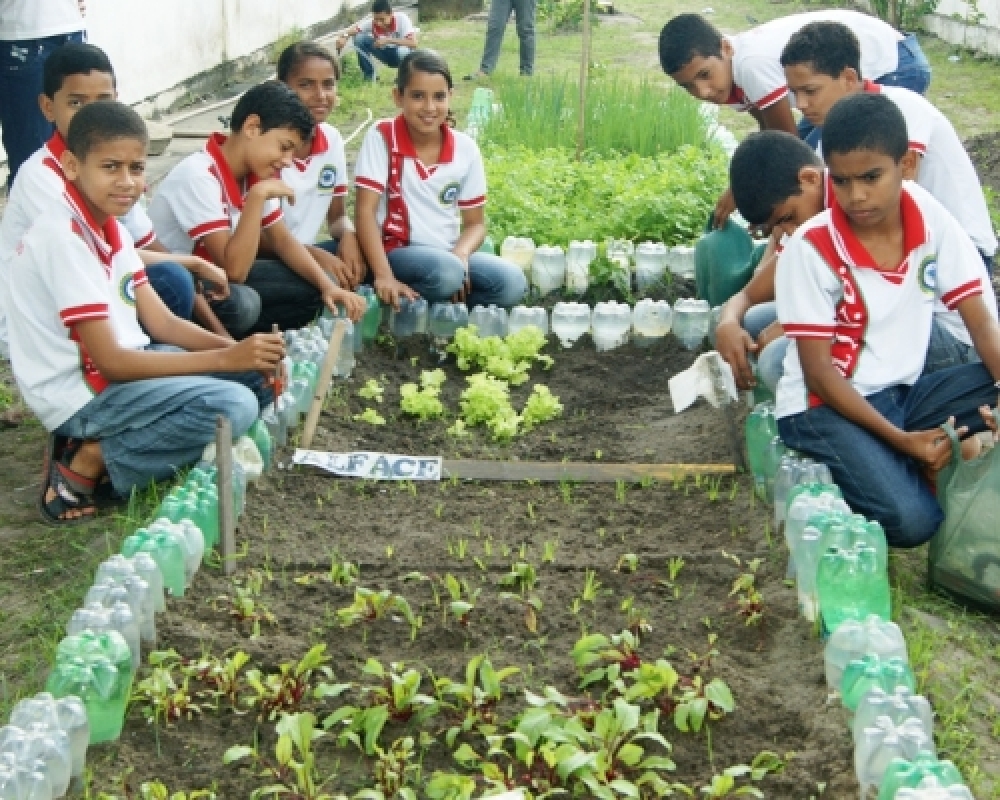 Projeto de Horta Escolar contribui para o enriquecimento nutricional da merenda escolar