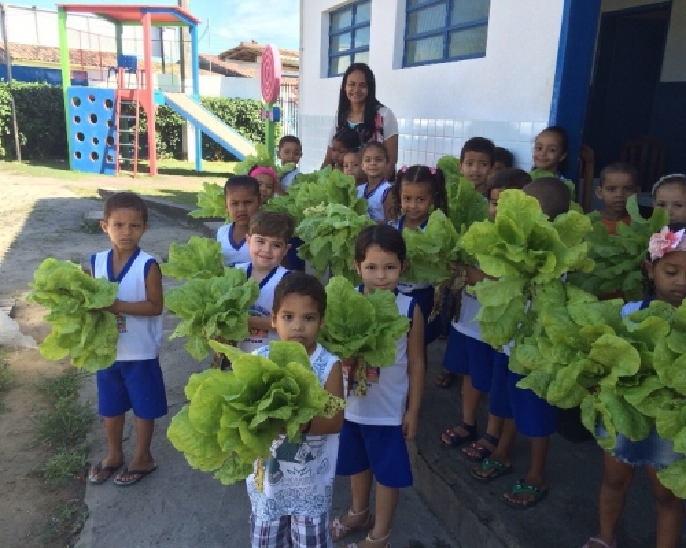 Horta Escolar: Alunos da Escola Cícero Salustiano participam da produção da Merenda Escolar