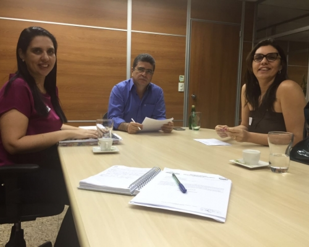 Em reunião na Eletrobras prefeita debateu sobre ampliação do programa Luz para Todos em Campo Alegre