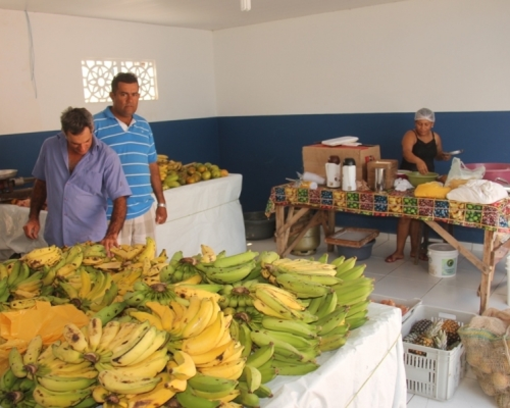 Empreendedores da Agricultura Familiar de Campo Alegre participarão de uma Rodada de Negócios 