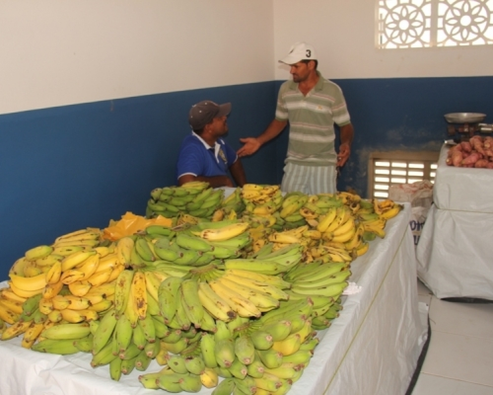 Feira do produtor Rural voltará a ser realizada em Campo Alegre