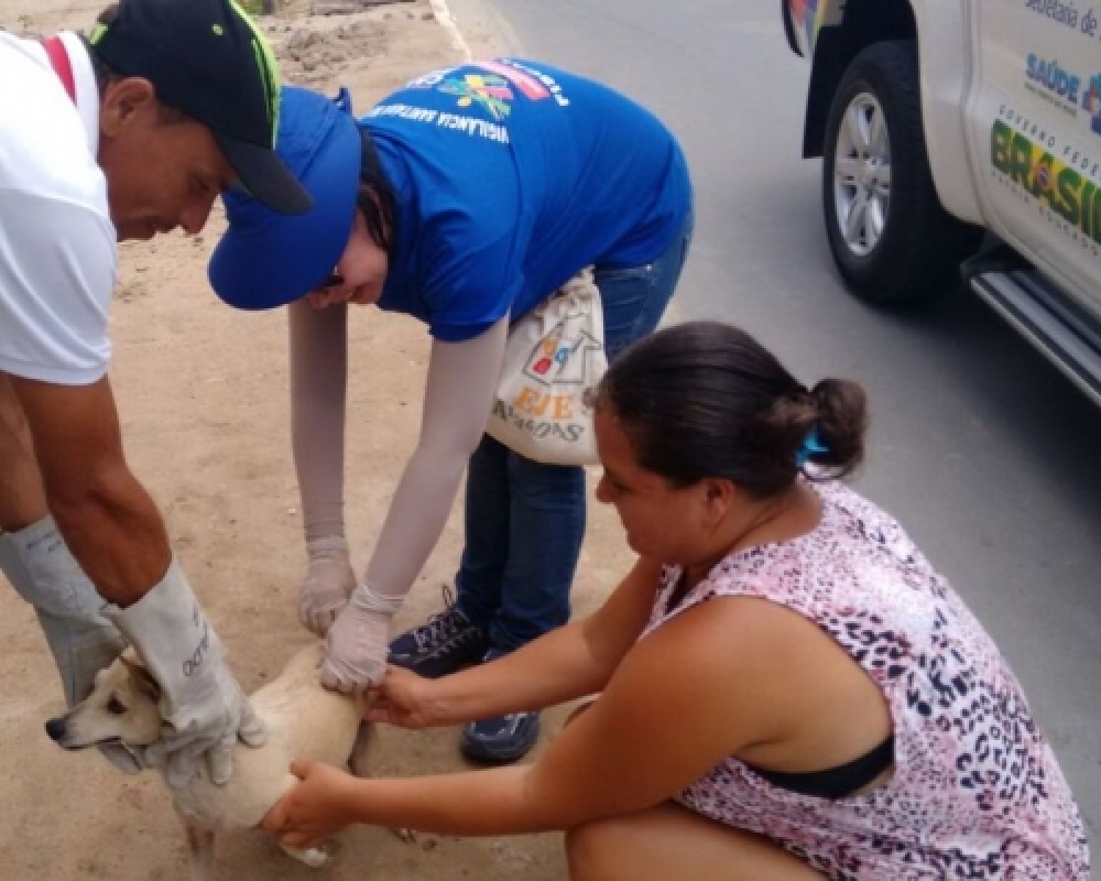 Secretaria de Saúde inicia vacinação antirrábica; Dia D da vacinação acontece neste sábado 08