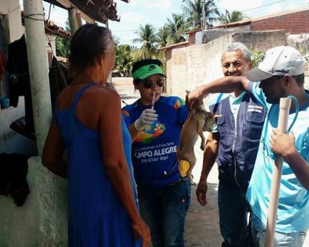 Secretaria de saúde divulga resultado da campanha de vacinação antirrábica em Campo Alegre