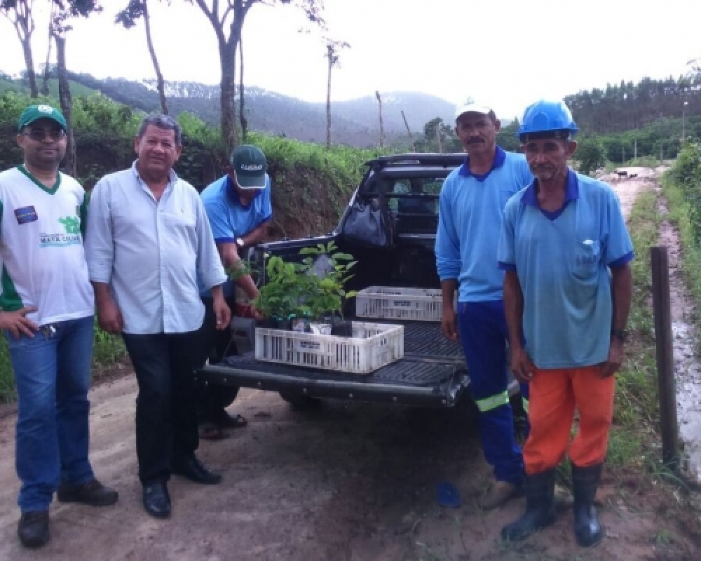 Meio Ambiente: Equipe do SAAE participou de plantio de árvores na região do Rio Escorrega