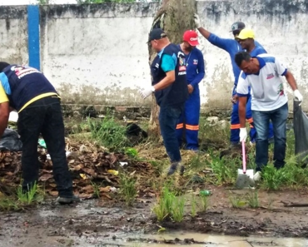 Ação conjunta recolhe grande quantidade de caramujos na Usina Porto Rico, em Campo Alegre