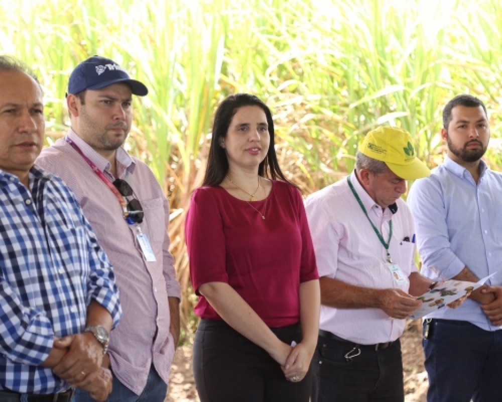 Agricultura: Produtores participaram de mais um Dia de Campo sobre colheita da soja em Campo Alegre
