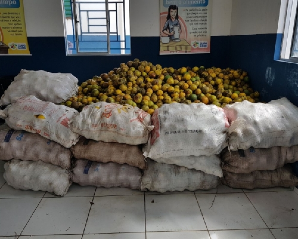 Programa de Aquisição de Alimentos garante a distribuição de alimentos para beneficiários das Casas 