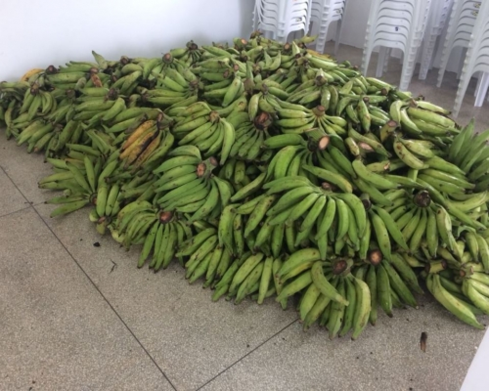 Prefeitura de Campo Alegre distribui mais de 54 mil Kg de Alimentos pelo PAA/CONAB