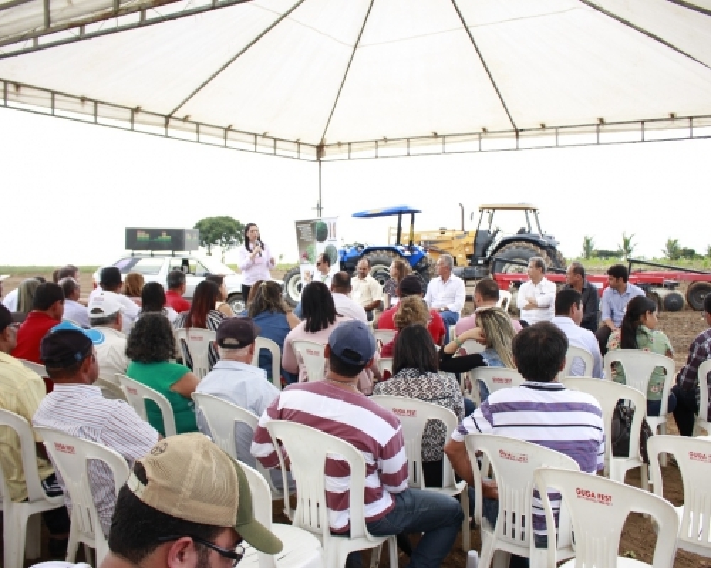 Diversificação de culturas foi tema de Dia de Campo realizado em Campo Alegre 