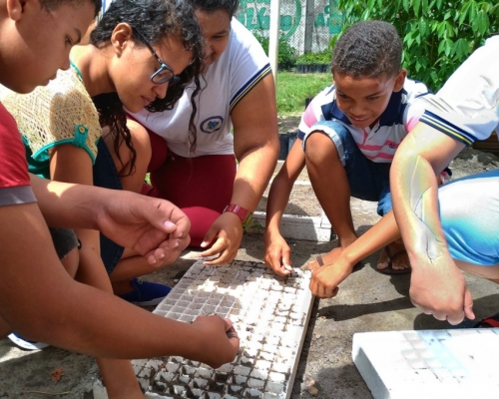 Estudantes participam do plantio de hortaliças no viveiro de mudas do distrito Luziápolis