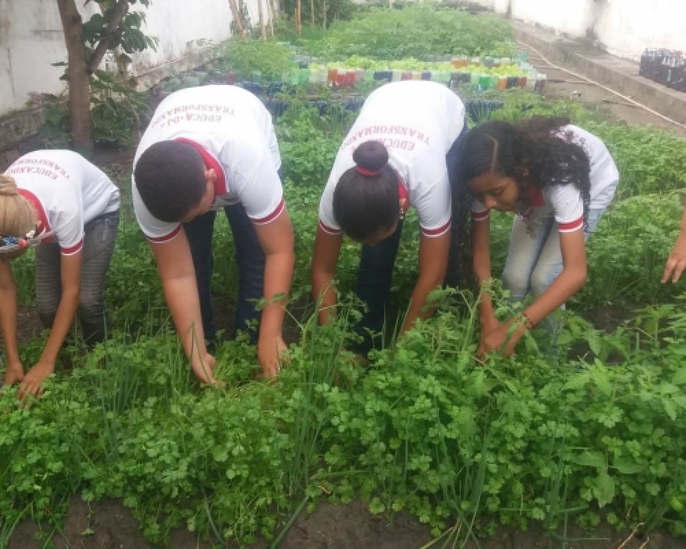 Escola Monsenhor Hildebrando realiza ações voltadas à Educação Ambiental