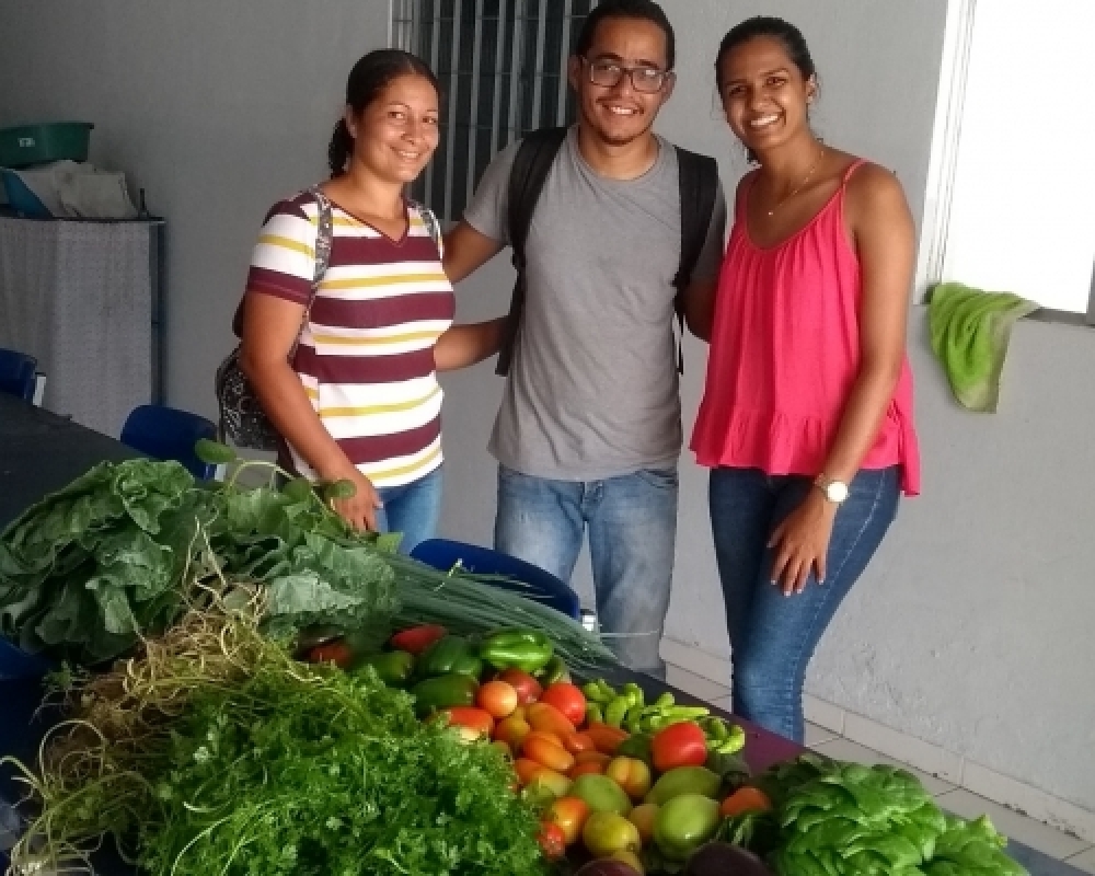 Repartições públicas recebem doações de hortaliças produzidas nas Hortas Escolares