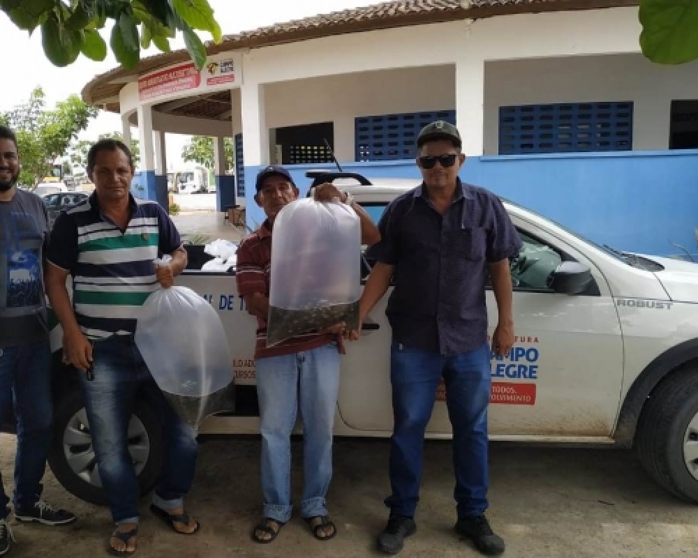 Secretaria de Agricultura realizou distribuição de alevinos para agricultores familiares