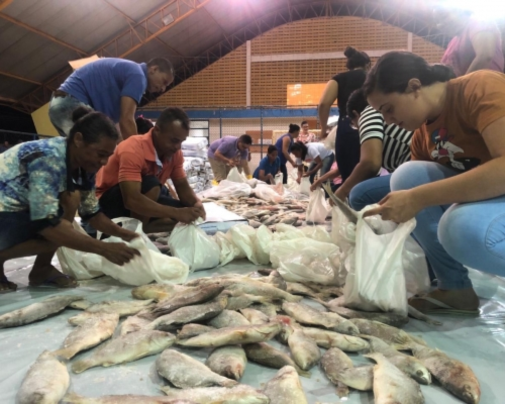 Distribuição de 60 toneladas de peixe, arroz e leite de coco garante mesa farta aos campo-alegrenses
