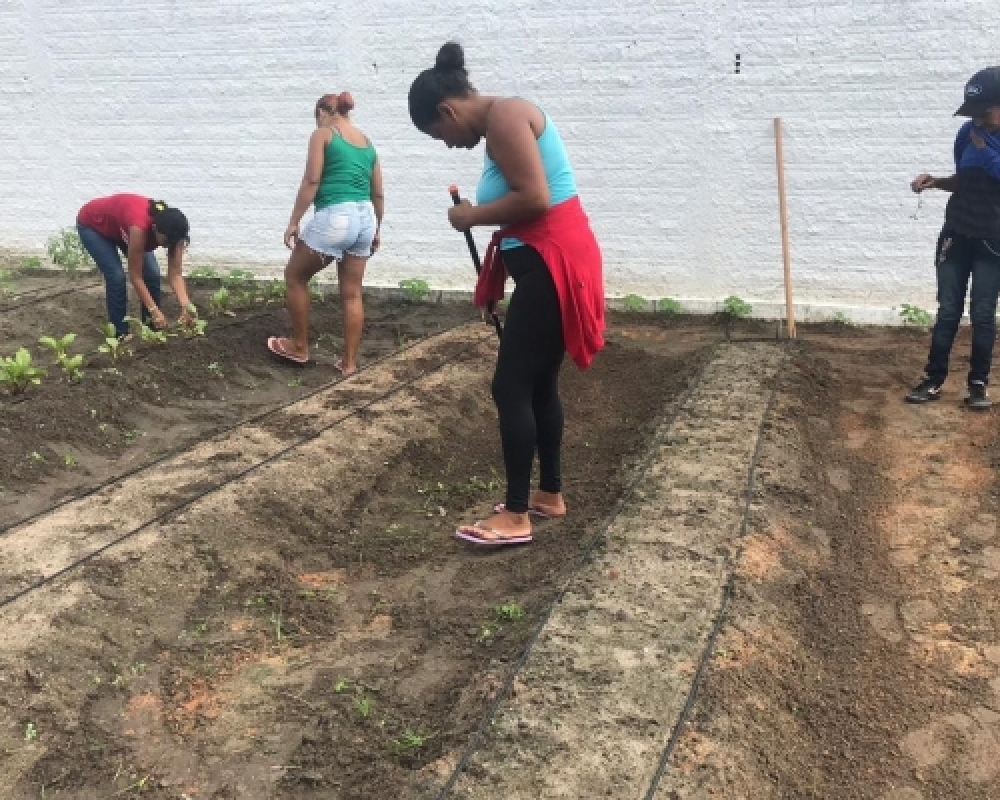 CRAS Luziápolis desenvolve o Projeto Semeando Raízes no Complexo Nutricional 