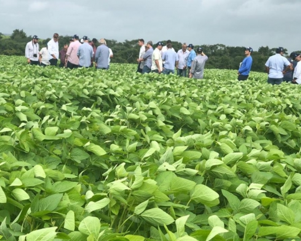 Campo Alegre recebe comitiva de produtores de grãos do Estado de Alagoas