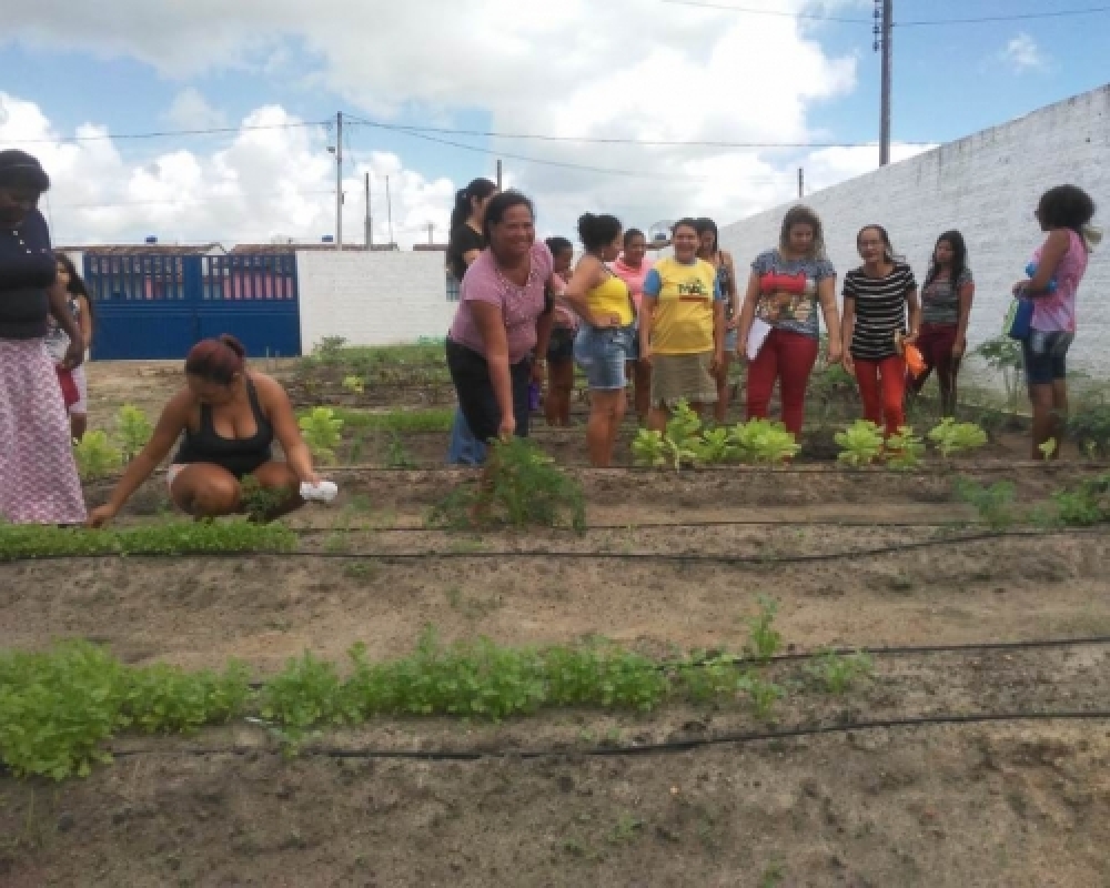 CRAS Luziápolis realiza o projeto Semeando Raízes com beneficiárias do Complexo Nutricional