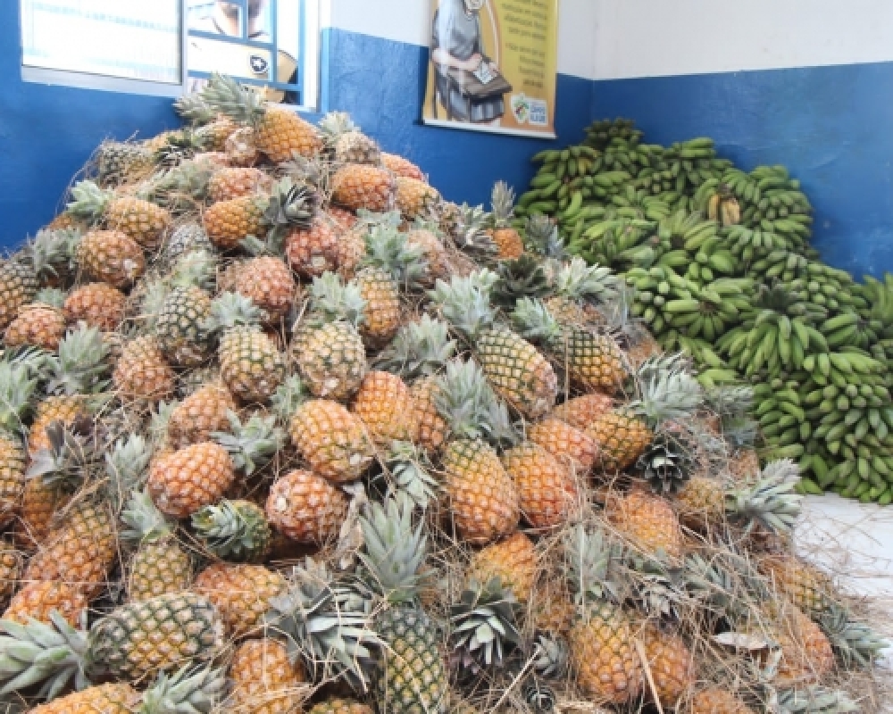 Beneficiários dos Complexos Nutricionais recebem alimentos através do PAA / Emater