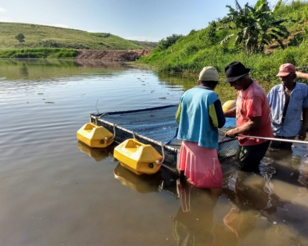 Projeto Municipal de Piscicultura contempla famílias do Povoado Chã da Imbira
