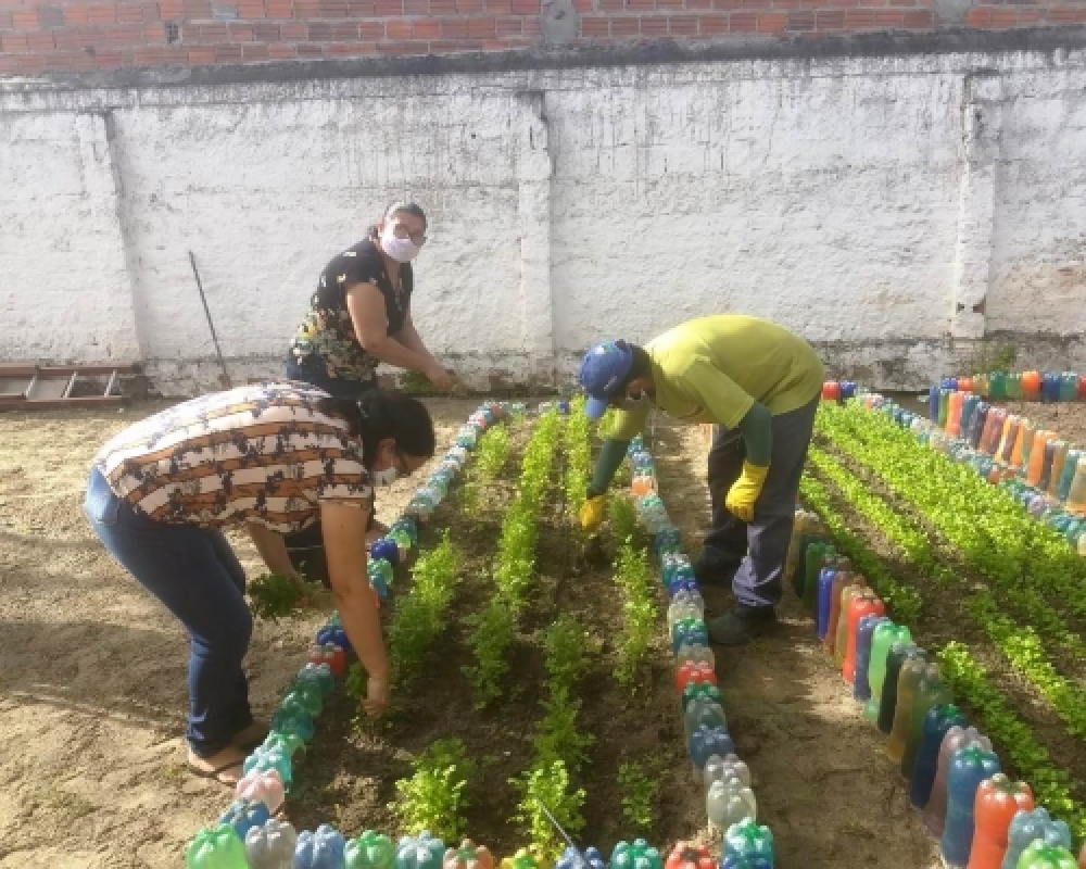 Núcleo de Educação Ambiental Inicia as Ações do Projeto Horta Escolar 2020