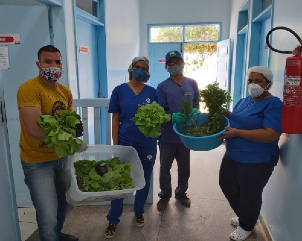 SEMED implanta Projeto Horta Escolar em 15 escolas da Rede Municipal de Ensino em Campo Alegre