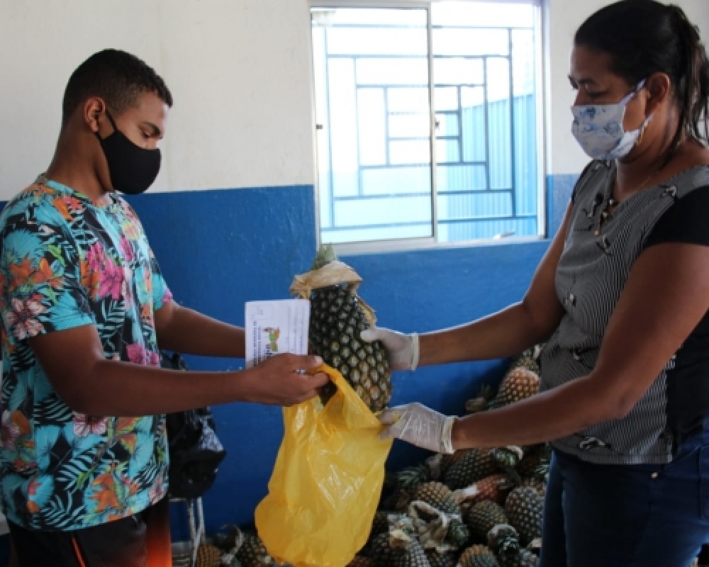Prefeitura realiza distribuição de abacaxis para beneficiários dos Complexos nutricionais