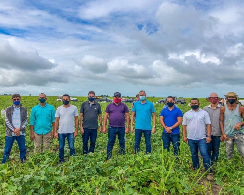 Agricultores de Campo Alegre iniciam mais uma colheita do Projeto Barriga Cheia 