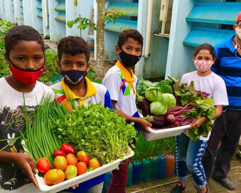 Escolas comtempladas com Projeto de Horta Escolar iniciam a Colheita de mais uma produção