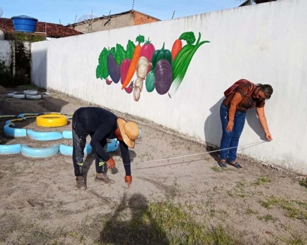 Hortas das Escolas Municipais de Campo Alegre passam por processo de Revitalização