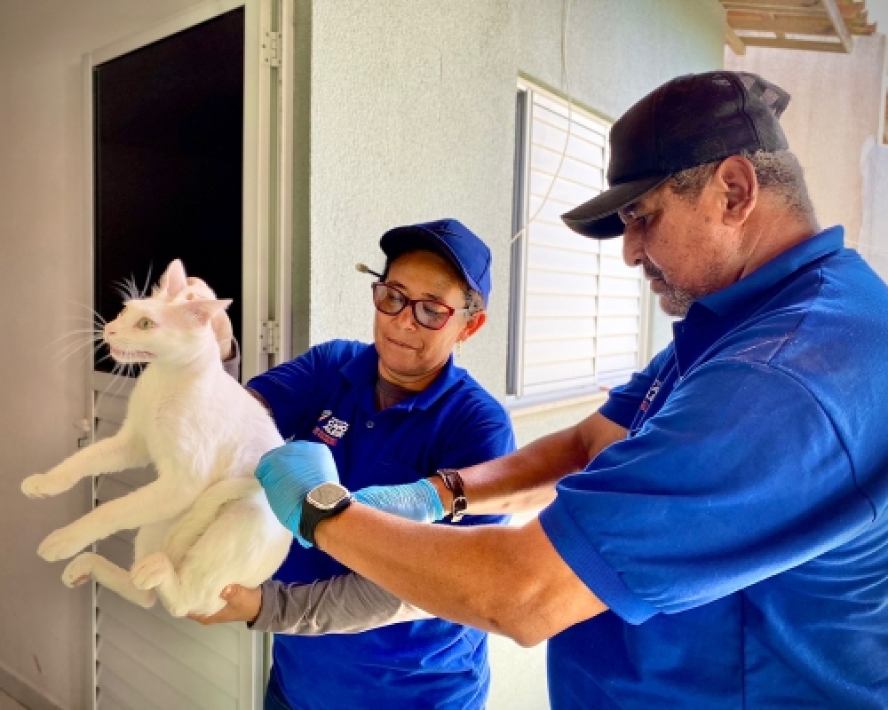 Secretaria de Saúde realiza campanha de vacinação antirrábica para cães e gatos em Campo Alegre