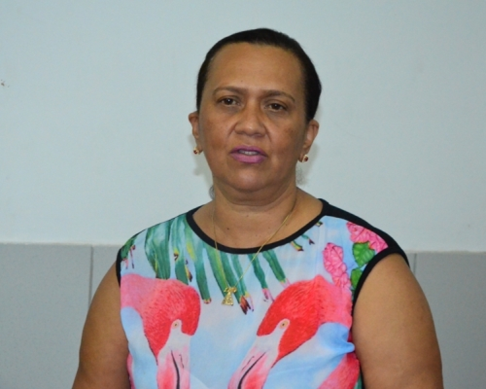 Secretaria Municipal de Saúde traça objetivos e metas para o quadriênio 2014 - 2017
