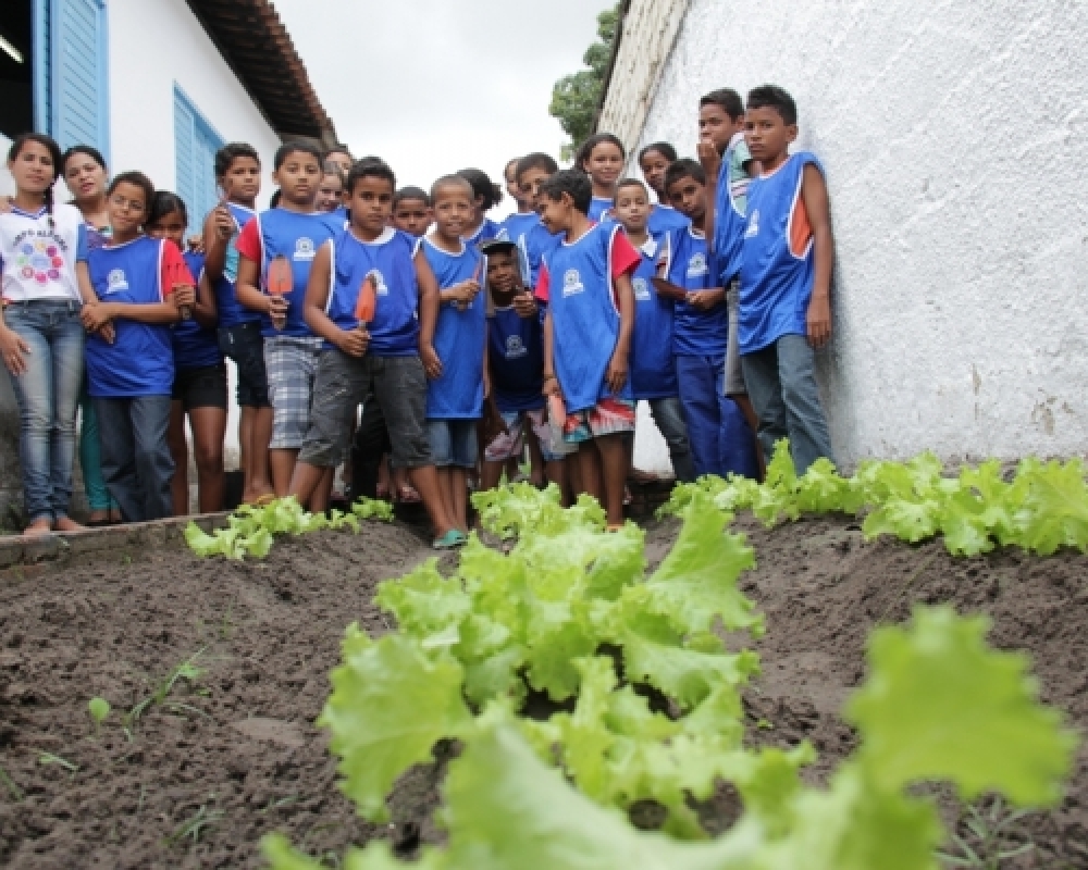 Merenda Escolar e Horta Escolar sinônimos de Alimentação Saudável para os alunos da Miguel Matias