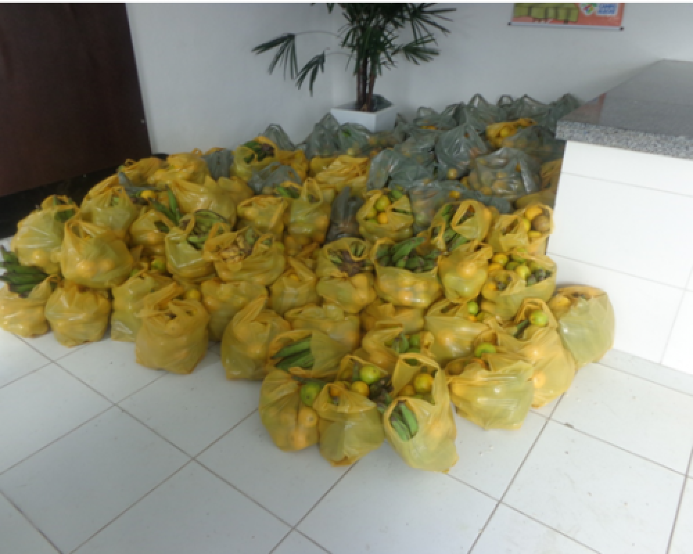 Parceria entre Prefeitura e CONAB garante distribuição de Frutas e Raízes no Complexo Nutricional