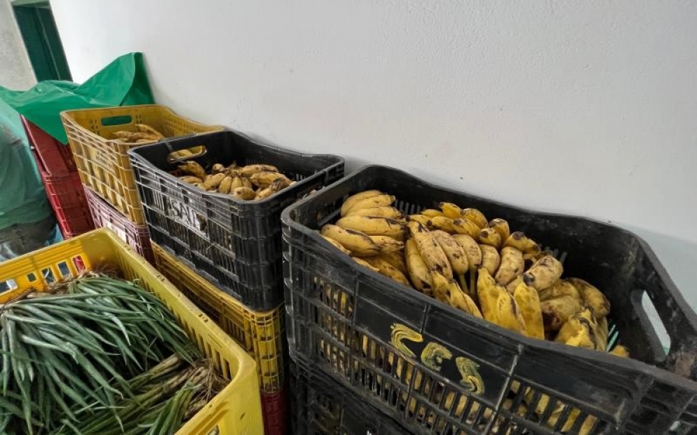 Secretarias realizam cadastros do Programa de Aquisição de Alimentos - PAA