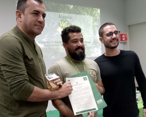 verde-2.jpg