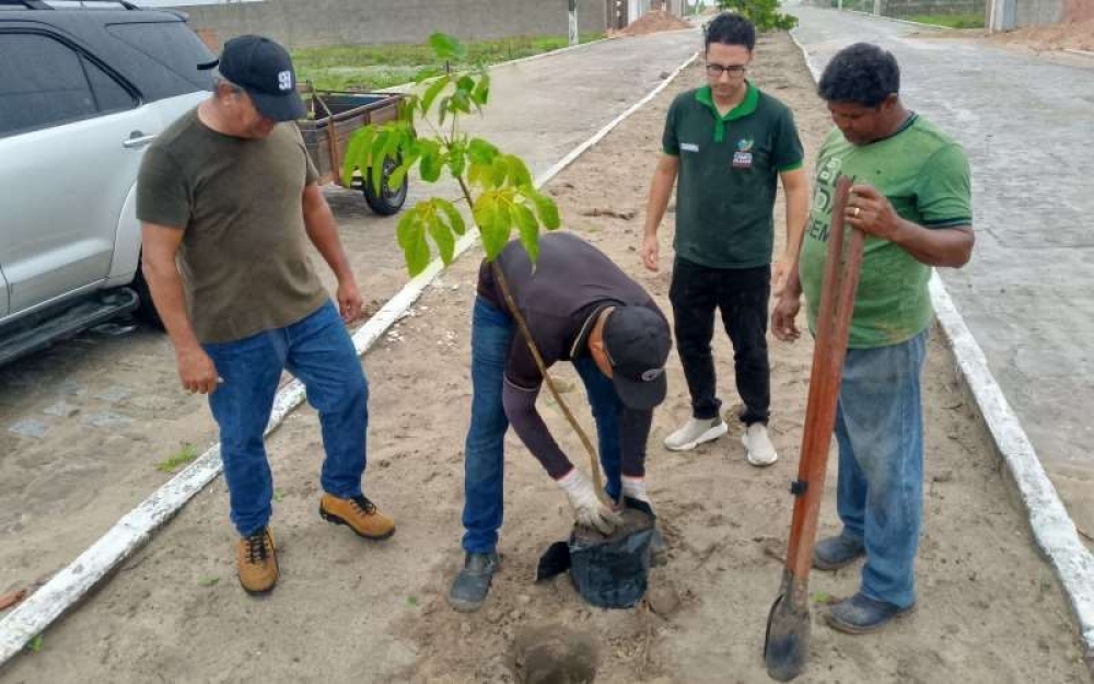 Secretaria de Agricultura realiza plantio de mudas de árvores no Loteamento Vista Alegre