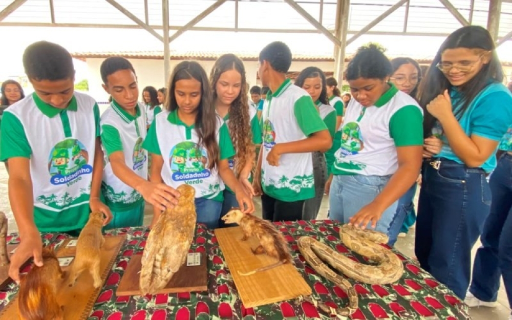 SEMED promove exposição de animais taxidermizados e fortalece a educação ambiental nas escolas da Rede Municipal