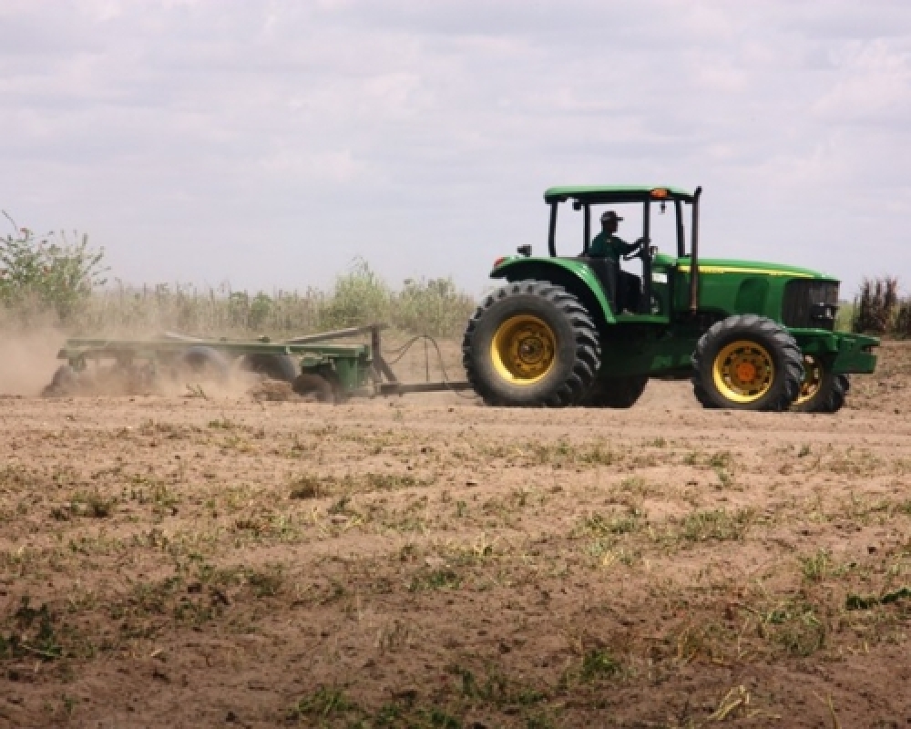 Pequenos produtores de Campo Alegre recebem apoio da Prefeitura Municipal para a gradeação de terras
