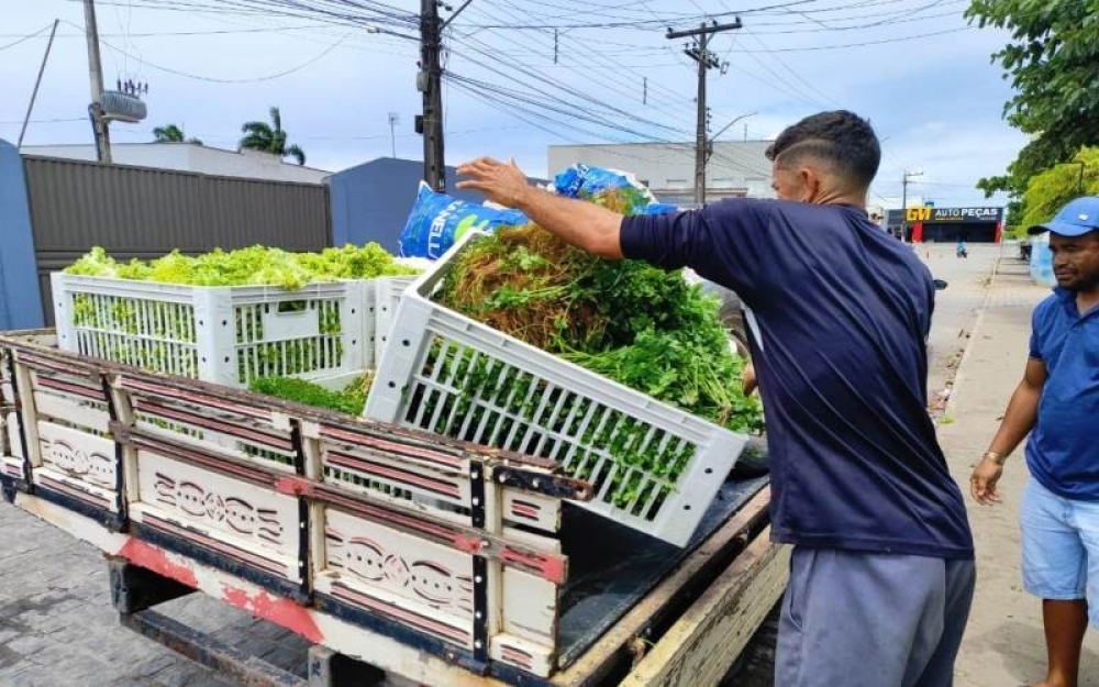 Prefeitura de Campo Alegre realiza mais uma distribuição de alimentos adquiridos através do PAA 