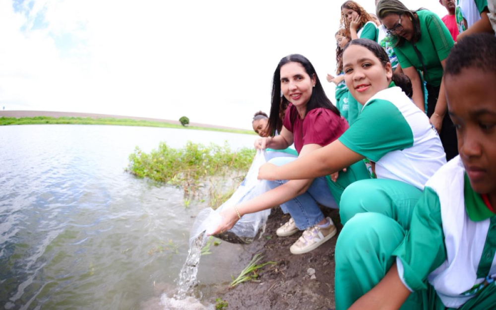 Prefeitura de Campo Alegre realiza a soltura de mais de 80 mil alevinos no açude Mandante em parceria com a Codevasf