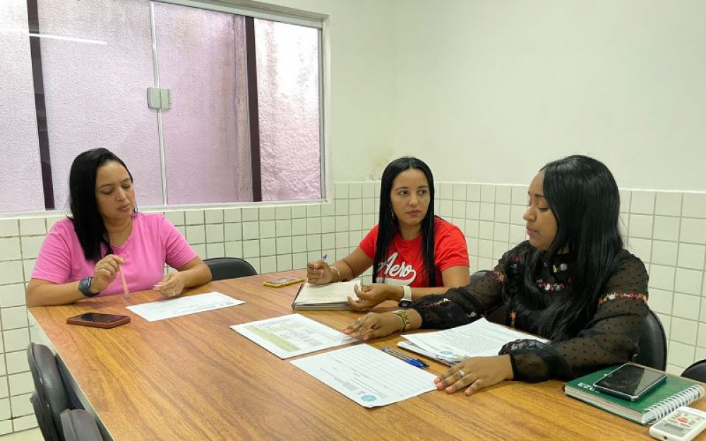 Grupo de Trabalho e Comissão dos Selos ABRINQ e UNICEF debatem sobre o PMIA