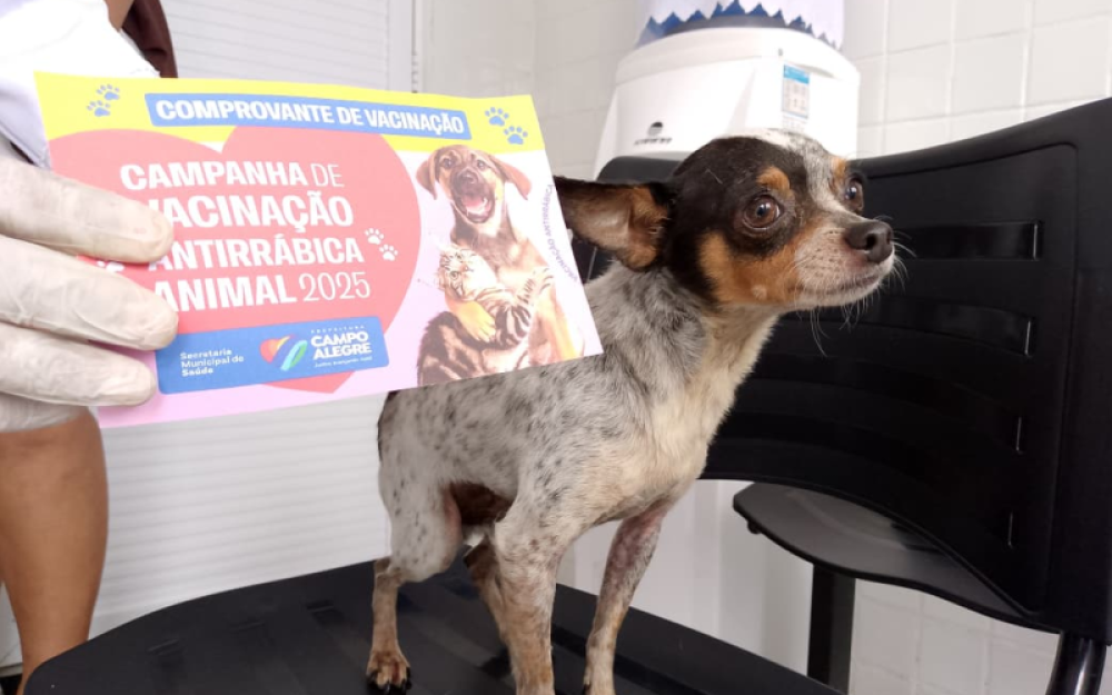 Campo Alegre supera meta da Campanha de Vacinação Antirrábica e segue vacinando cães e gatos