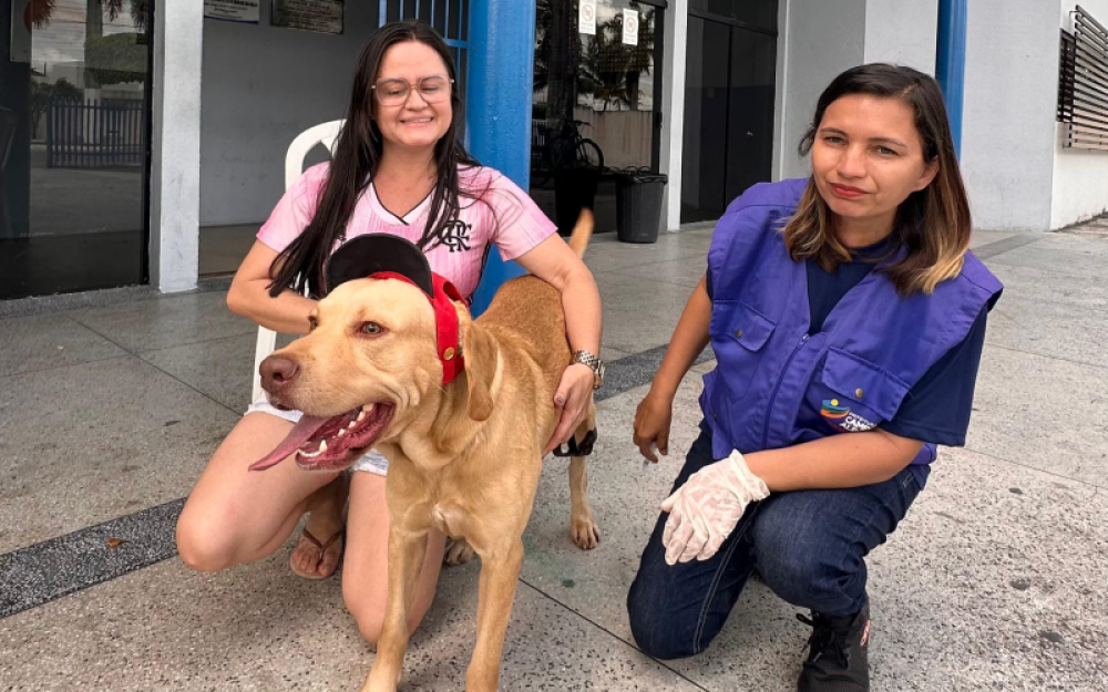 Secretaria de Saúde de Campo Alegre Promove Dia D de Vacinação Antirrábica para cães e gatos 