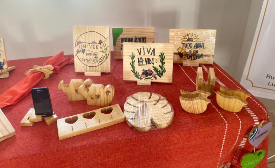 Projeto da Unidade de Acolhimento Infantojuvenil de Luziápolis participará da na 11ª Bienal ...