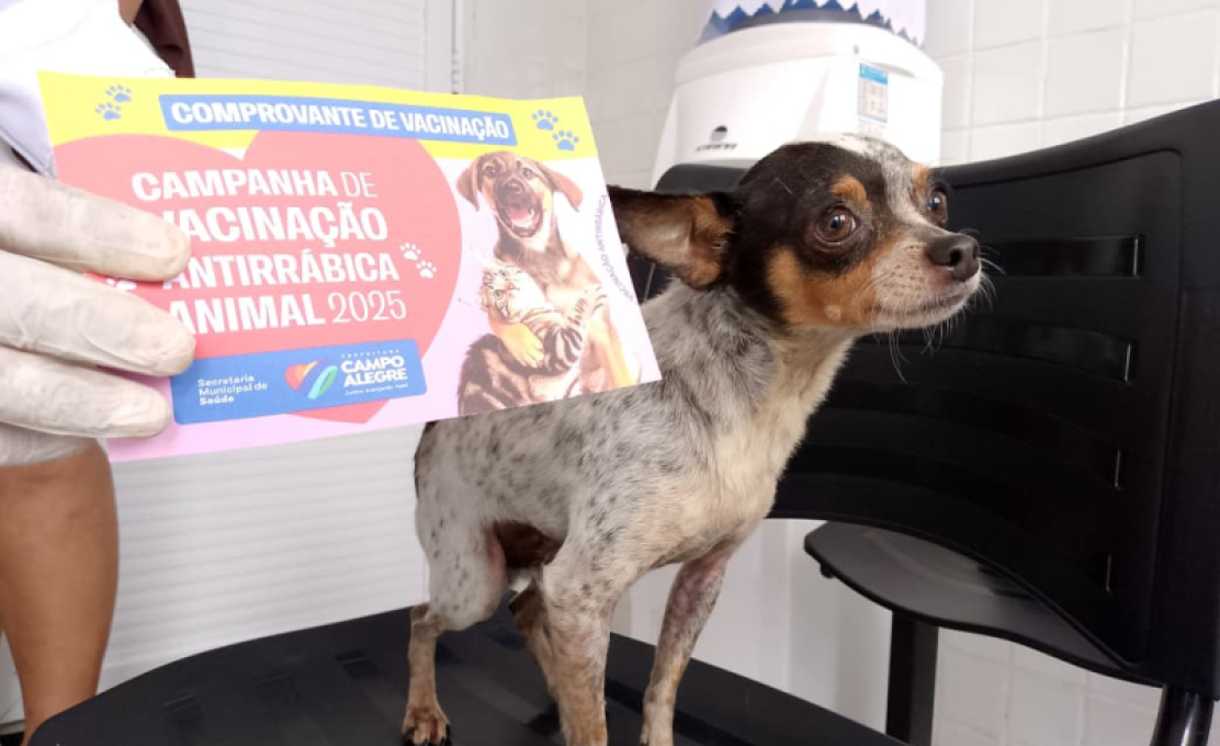 Campanha antirrábica 2026 começa dia 3 de Novembro em Campo Alegre