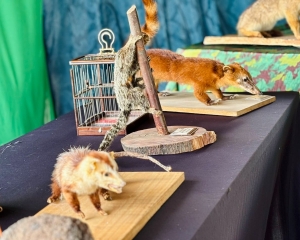 expo-animais-1.jpeg